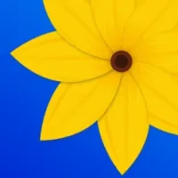 Gallery - Photo Gallery Vault
