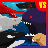 Shark Fights Sea Creatures