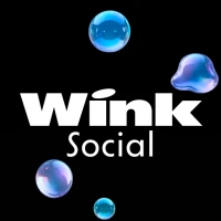 Wink Social - Make Friends
