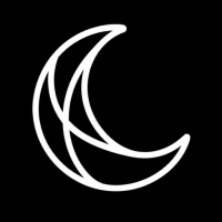 Moon AI