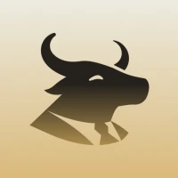 Simply Wall St